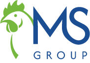 MS Group